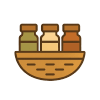Studyphryganta